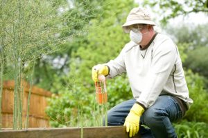 6 Signs You Need Pest Control Melbourne